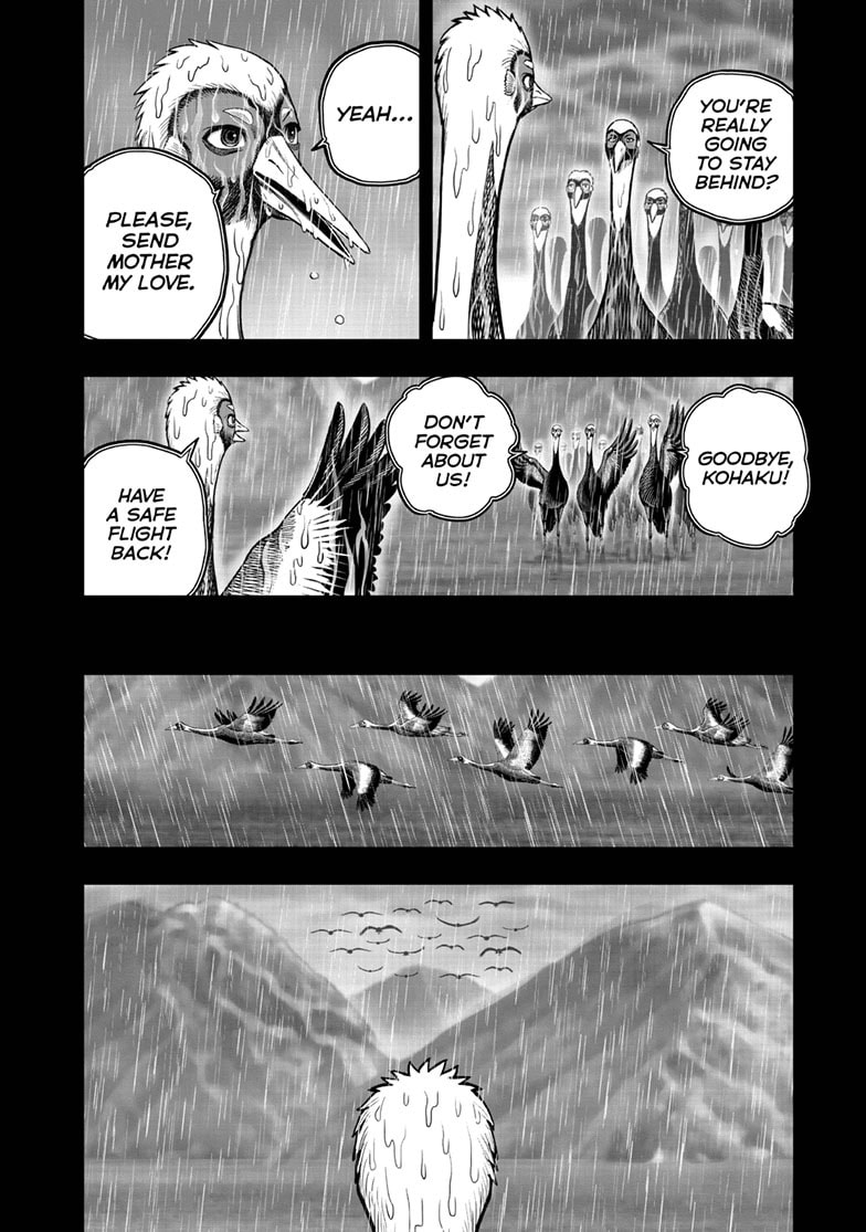Read Niwatori Fighter chapter 53 image 8 on Lezhin