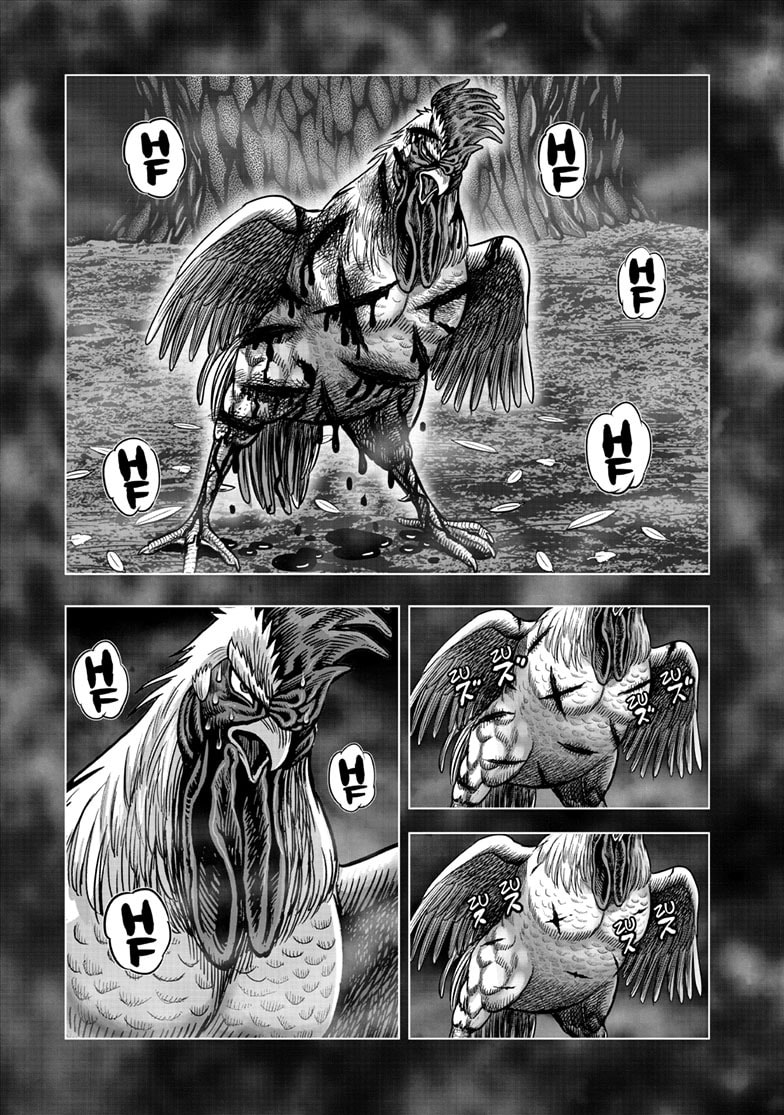 Read Niwatori Fighter chapter 56 image 13 on Lezhin