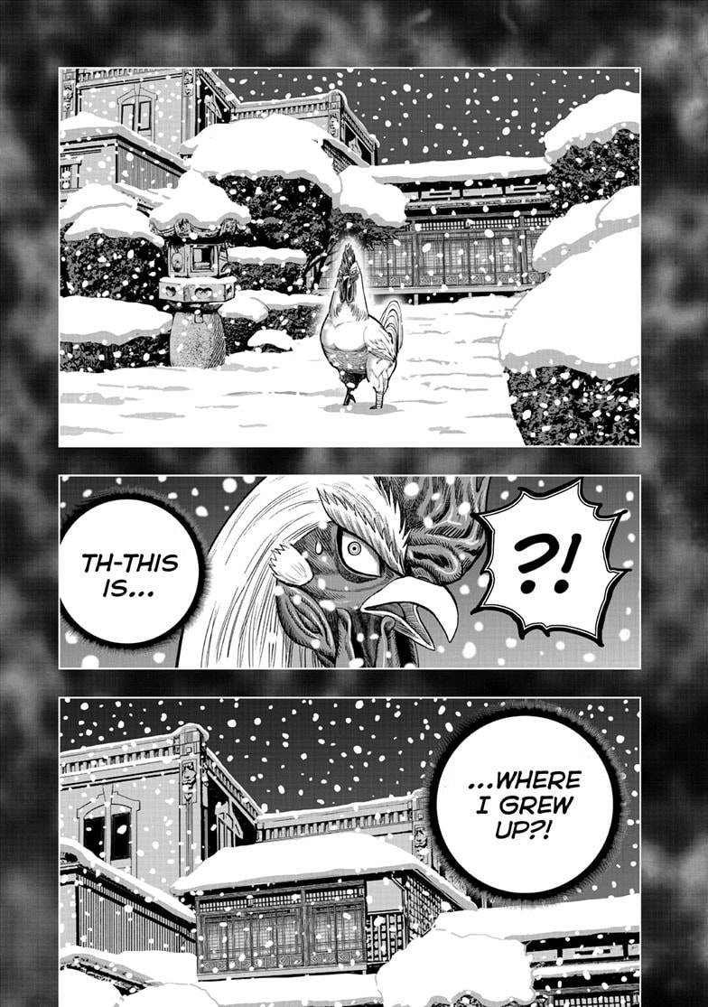 Read Niwatori Fighter chapter 56 image 15 on Lezhin