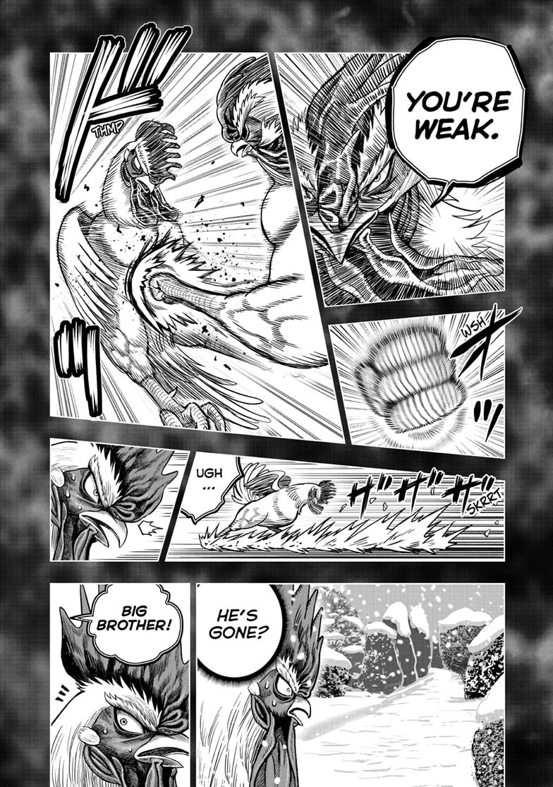 Read Niwatori Fighter chapter 56 image 20 on Lezhin