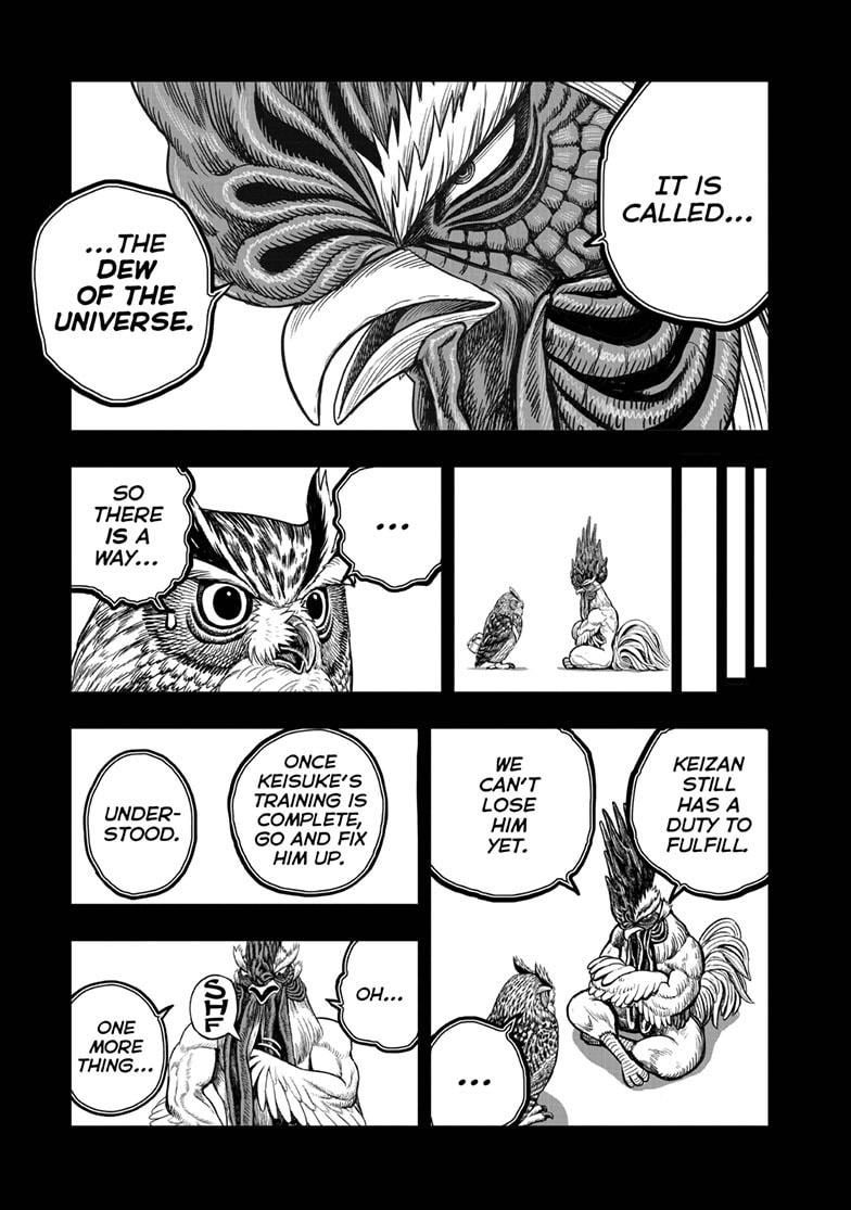 Read Niwatori Fighter chapter 61.1 image 23 on Lezhin