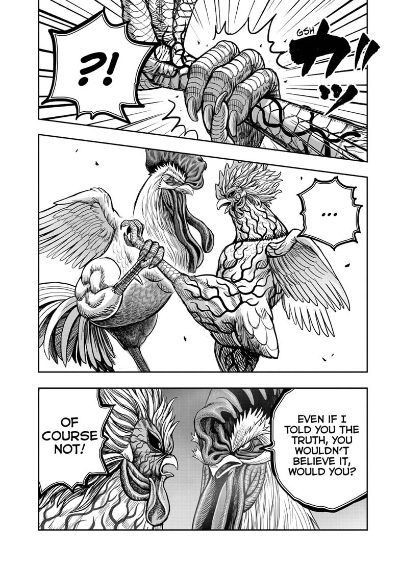 Read Niwatori Fighter chapter 61.1 image 32 on Lezhin