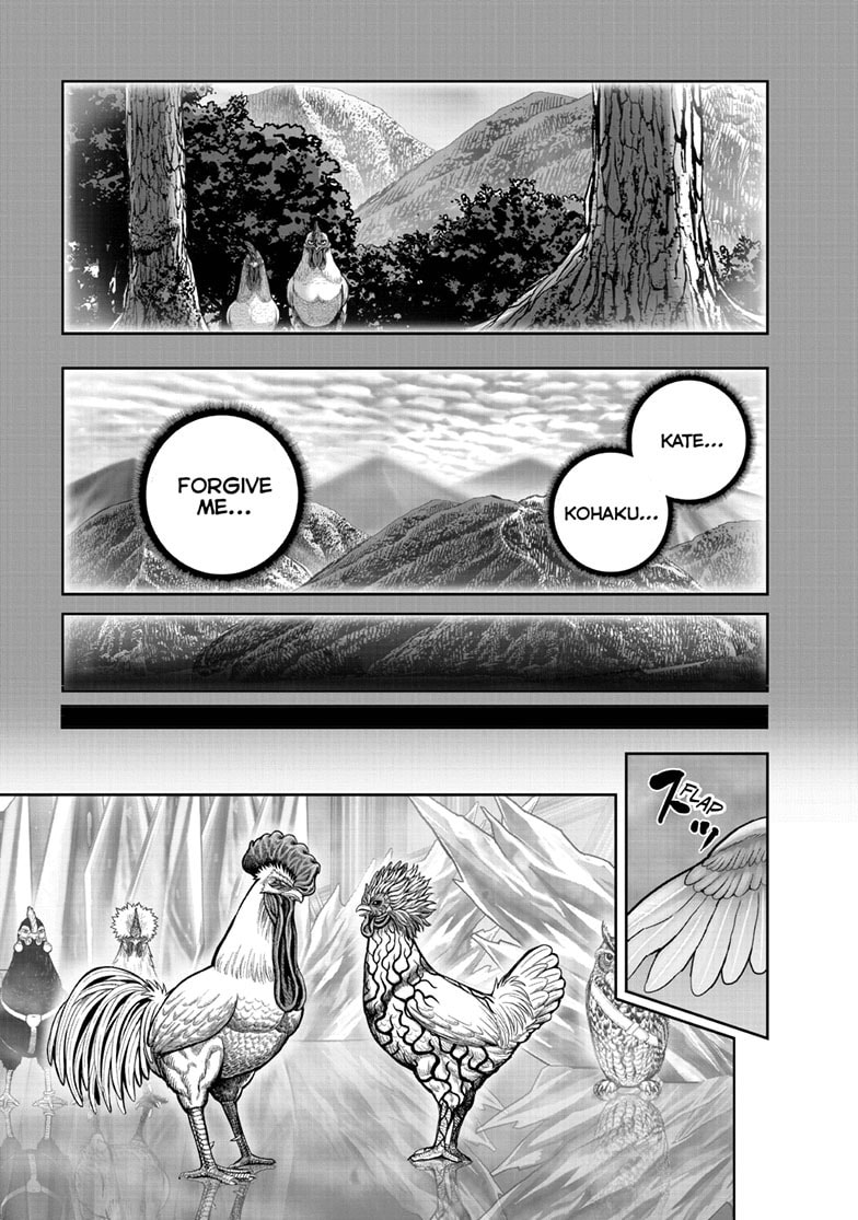 Read Niwatori Fighter chapter 61.1 image 47 on Lezhin