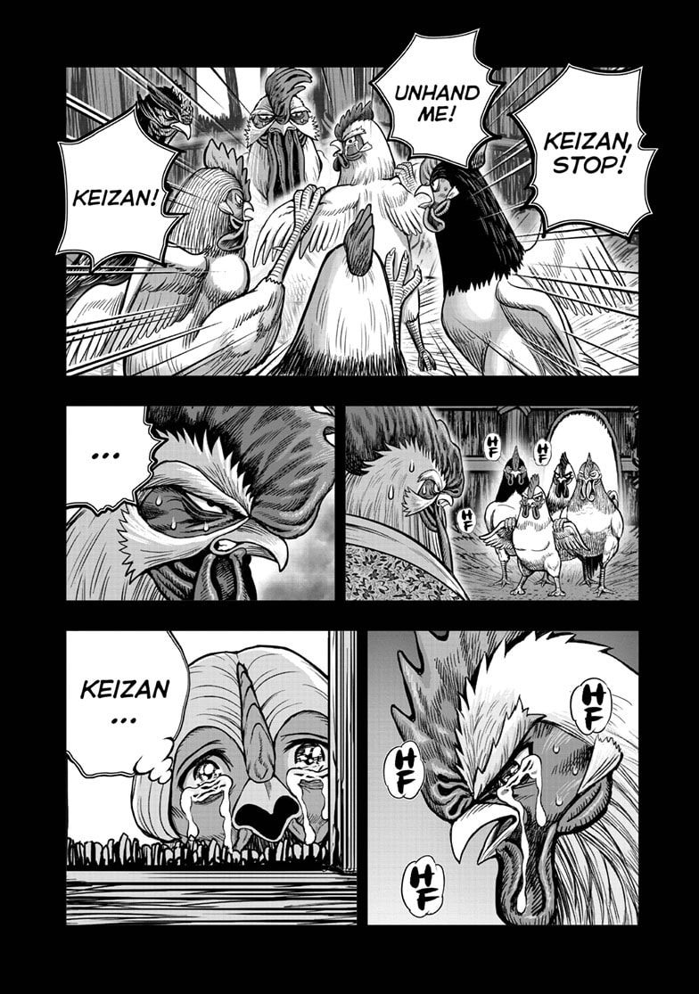 Niwatori Fighter Chapter 62.1 page 13 - 