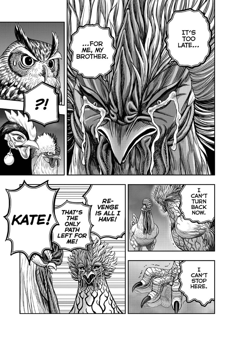 Niwatori Fighter Chapter 62.1 page 24 - 