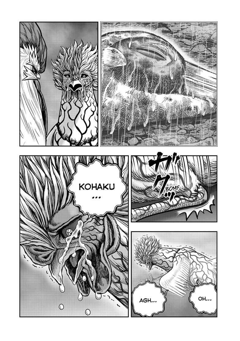 Niwatori Fighter Chapter 62.1 page 26 - 