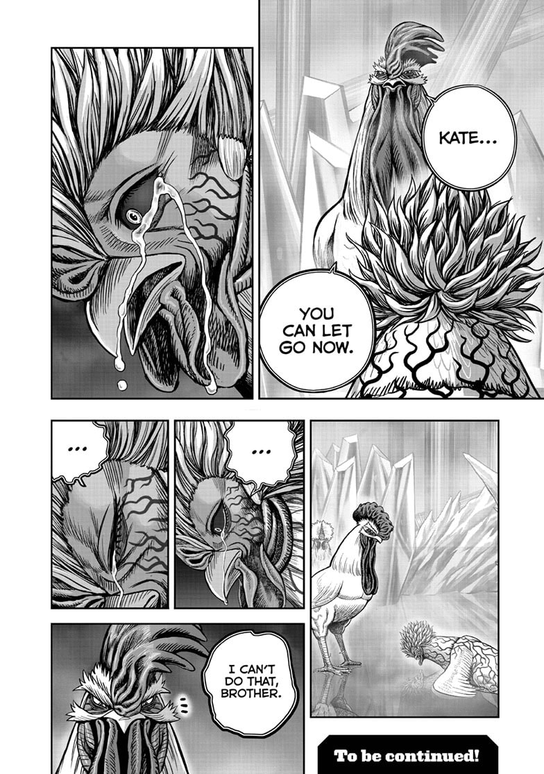Niwatori Fighter Chapter 62.1 page 27 - 