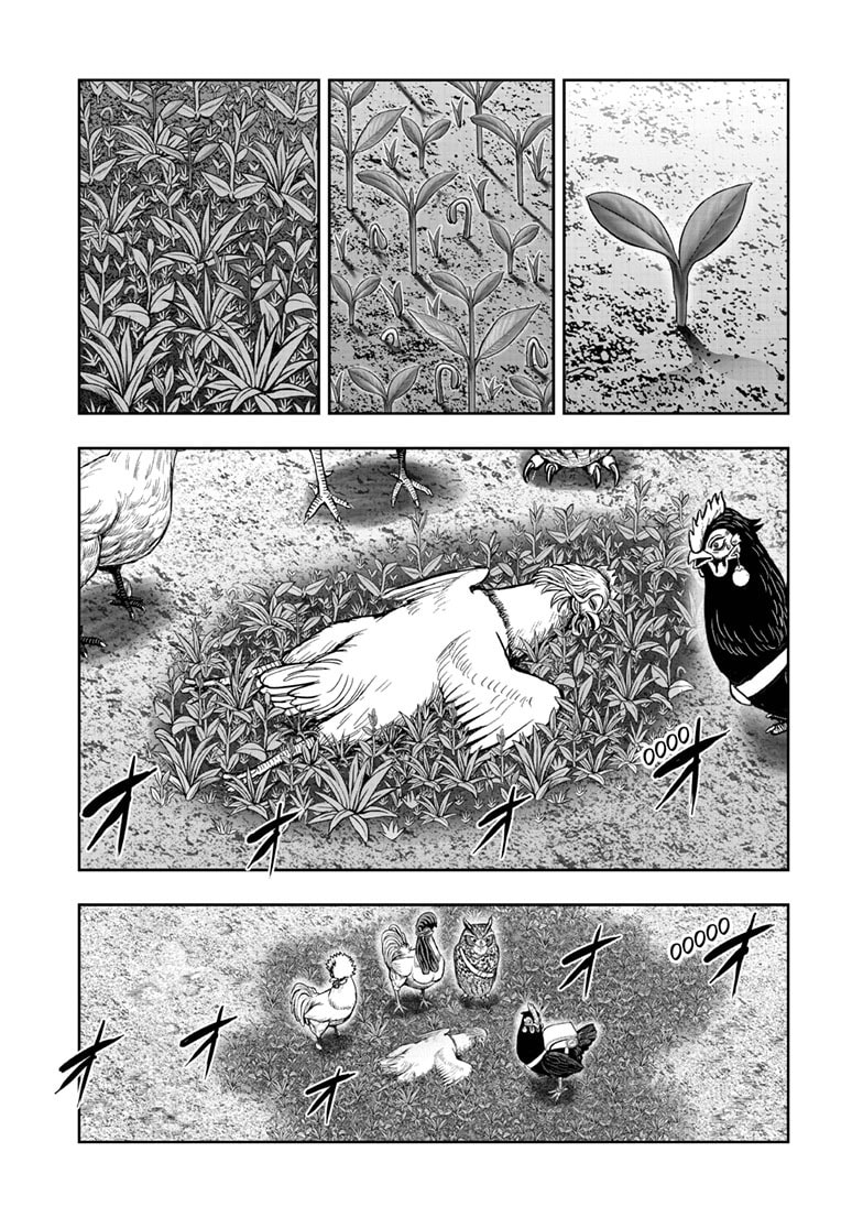 Niwatori Fighter Chapter 62.2 page 17 - 