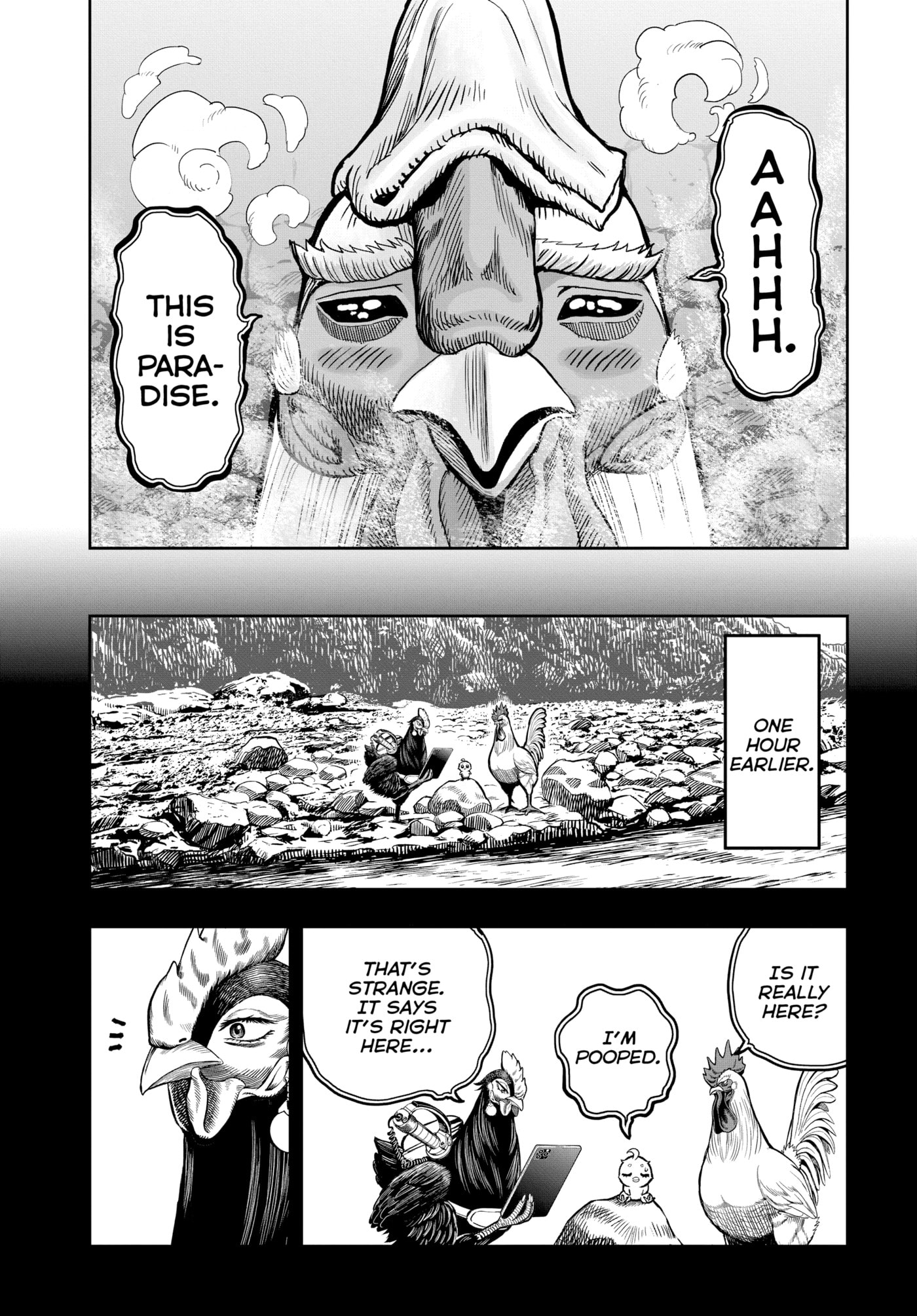 Read Niwatori Fighter chapter 8 image 2 on Lezhin