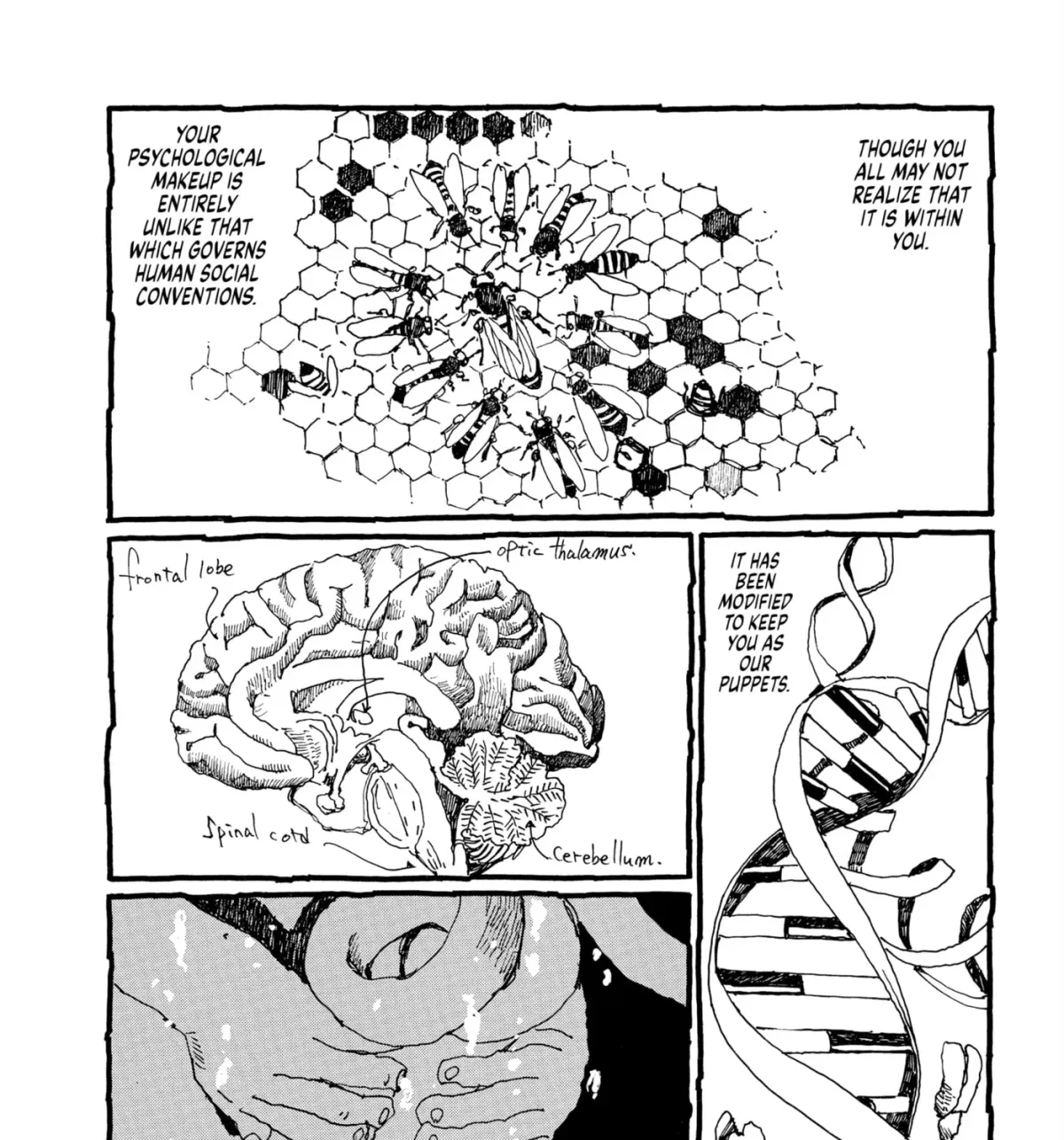 Read No Access No! chapter 31 image 22 on Lezhin