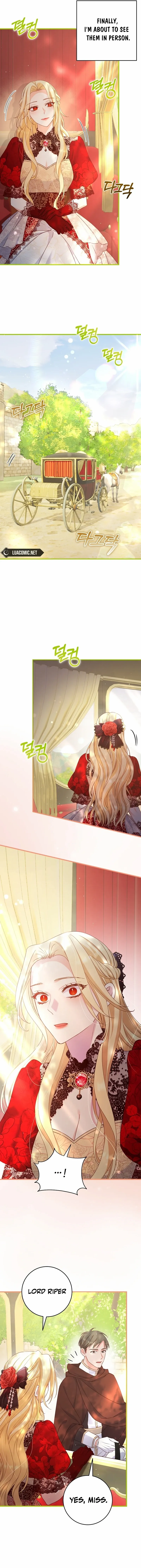 Read No Mercy chapter 8 image 2 on Lezhin