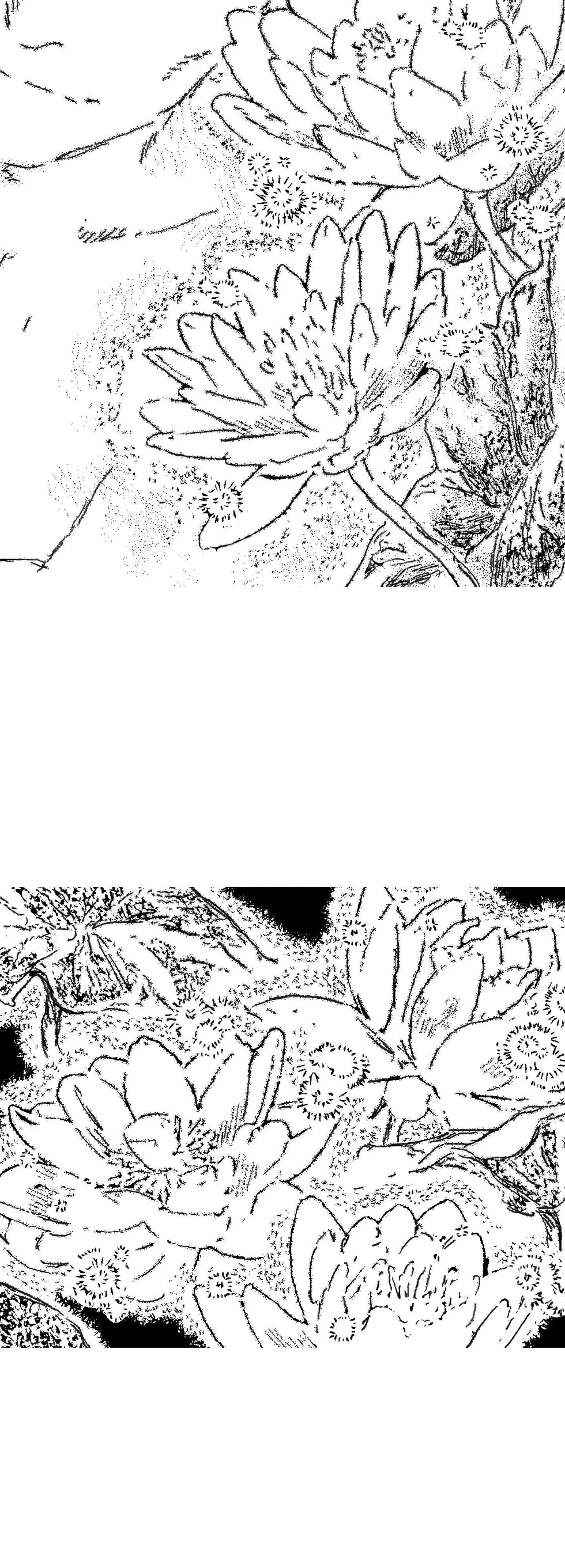 Read No More Eurydice chapter 186 image 37 on Lezhin