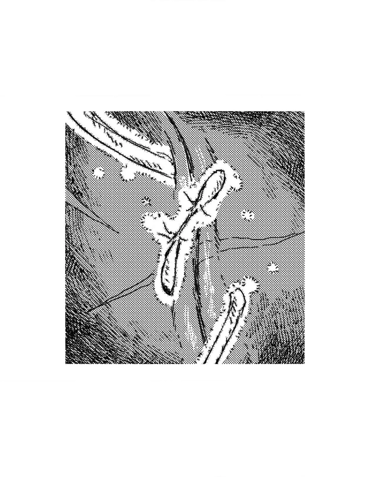 Read No More Eurydice chapter 206 image 40 on Lezhin