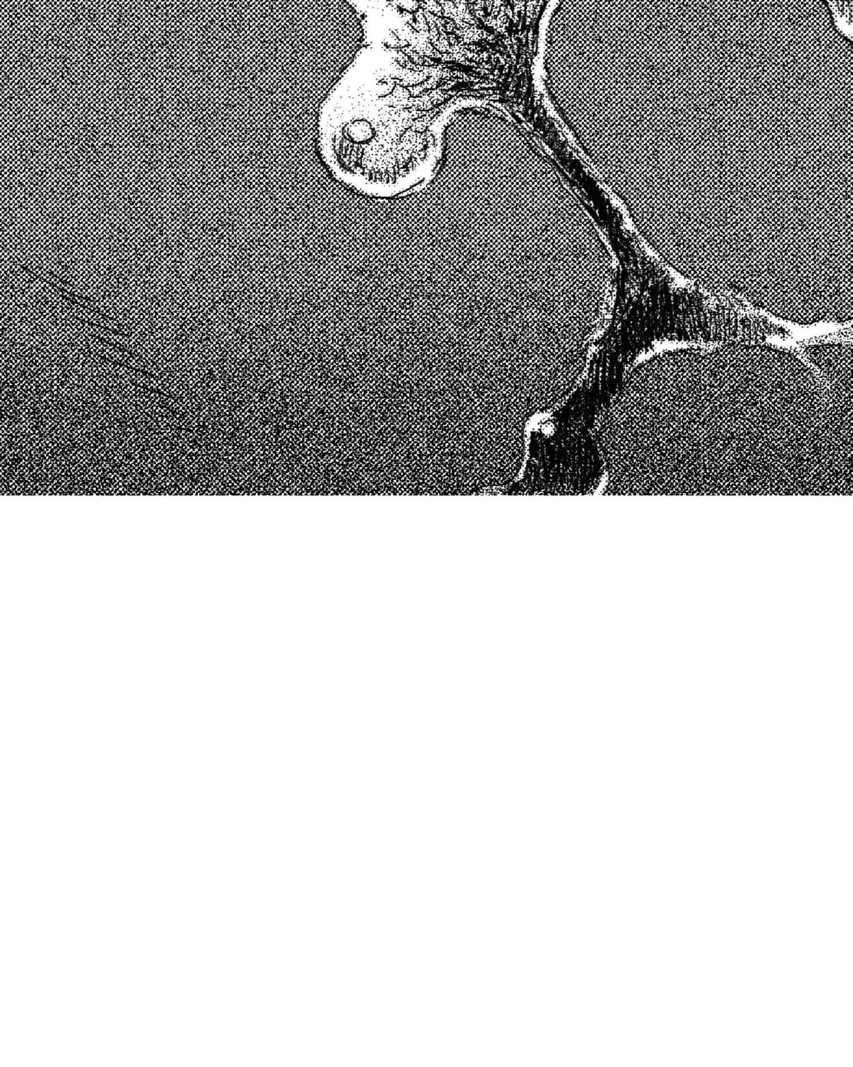 Read No More Eurydice chapter 60.3 image 73 on Lezhin