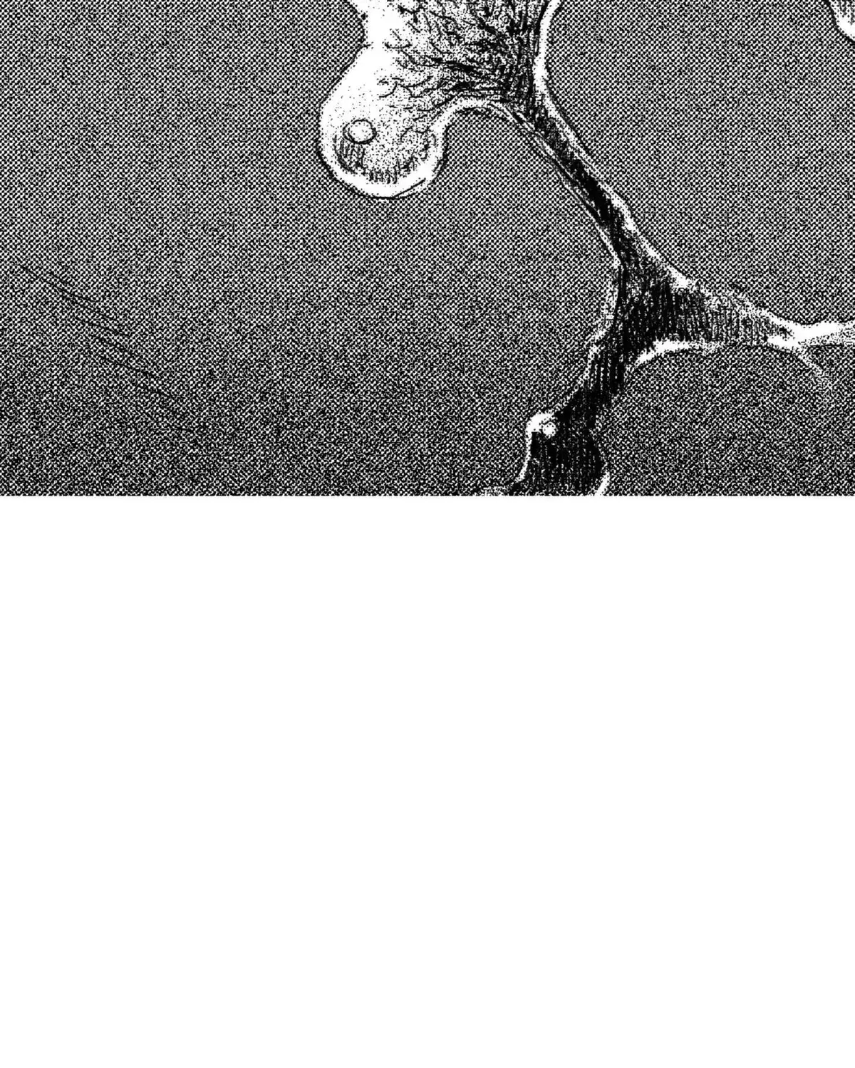 Read No More Eurydice chapter 68.2 image 73 on Lezhin