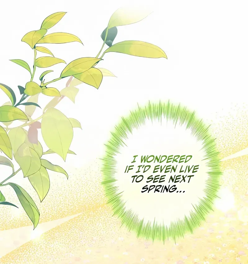 Read No More Regrets chapter 2 image 56 on Lezhin