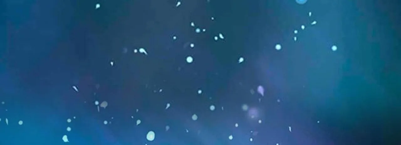 Read No More Regrets chapter 20 image 269 on Lezhin
