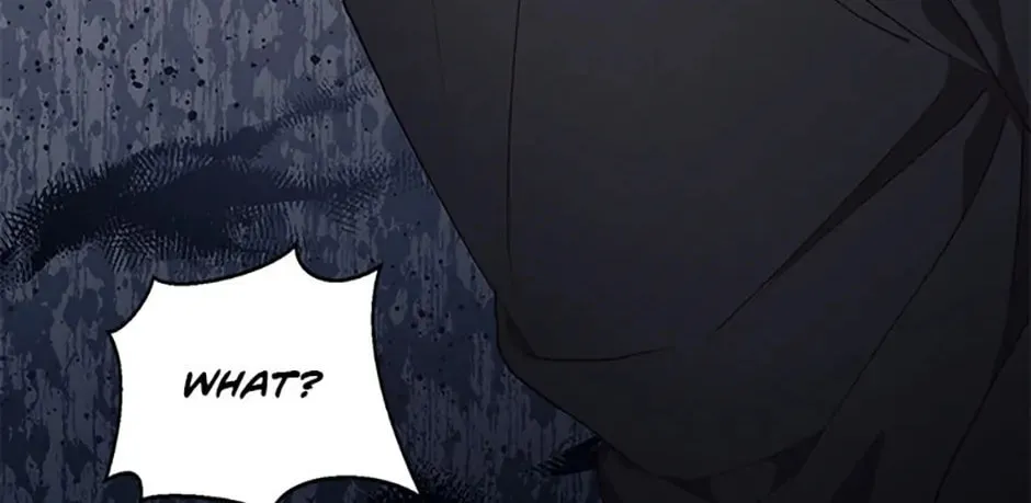 Read No More Turning a Blind Eye chapter 113 image 6 on Lezhin