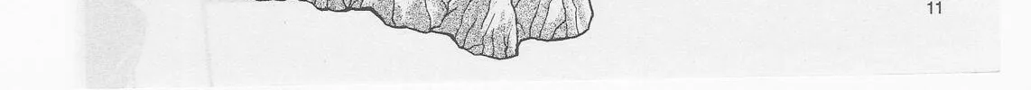 Read No Need for Tenchi! chapter 49 image 21 on Lezhin