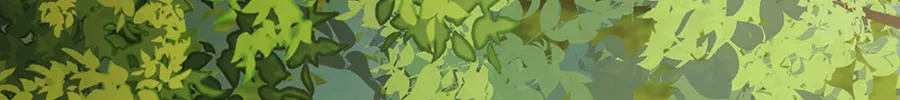 No Retaliation from the Supporting Cast Chapter 53 page 76 - 