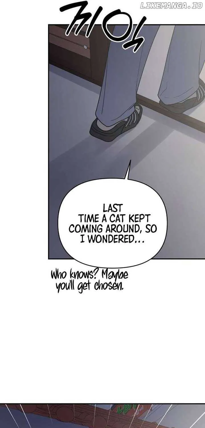 Read No to Office Romance! chapter 64 image 14 on Lezhin