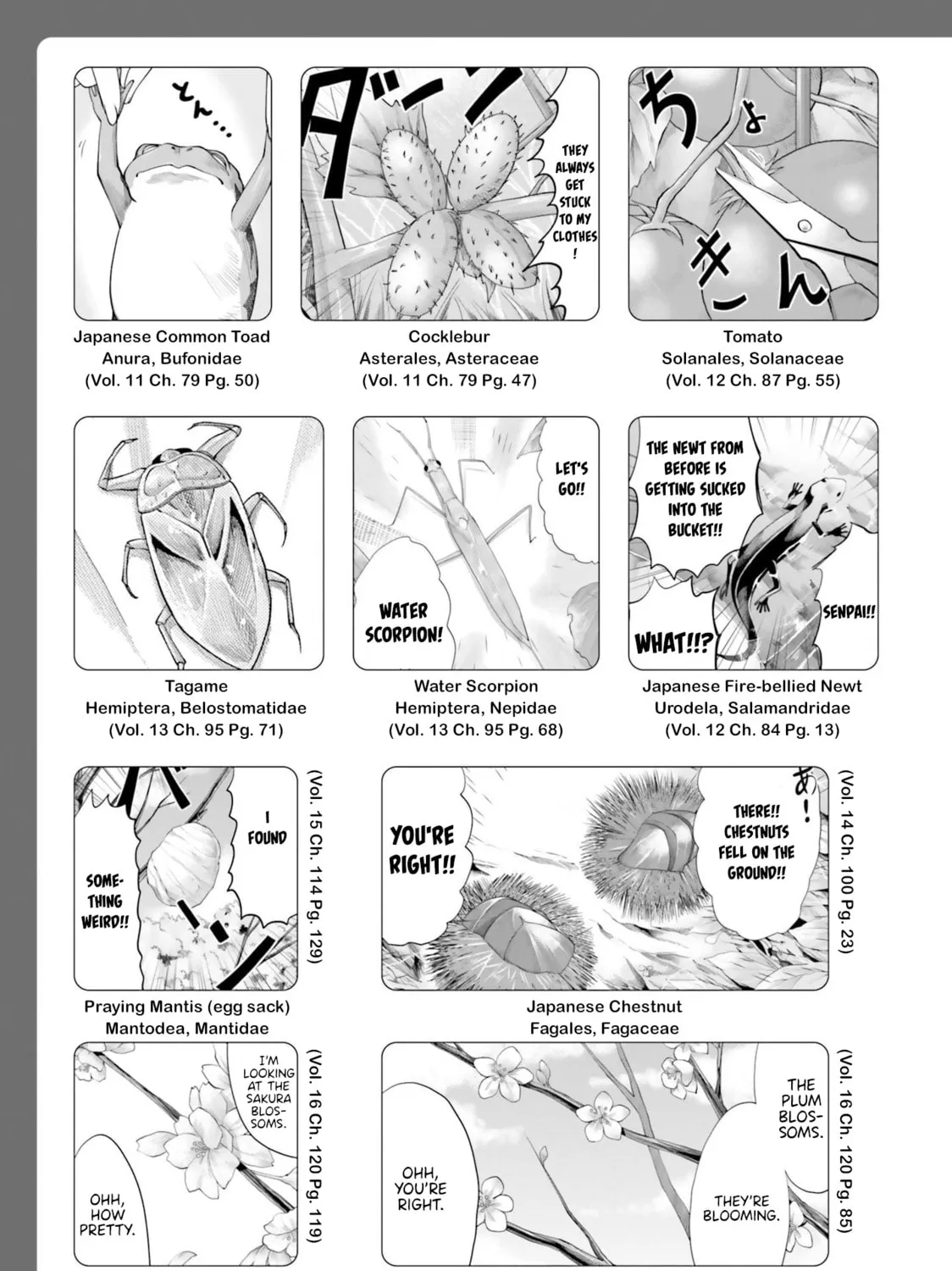 Read Non Non Biyori Remember chapter 3.5 image 6 on Lezhin