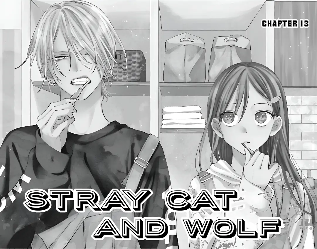 Read Noraneko to Ookami chapter 13 image 4 on Lezhin