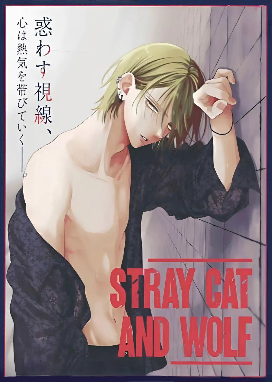 Read Noraneko to Ookami chapter 21 image 41 on Lezhin