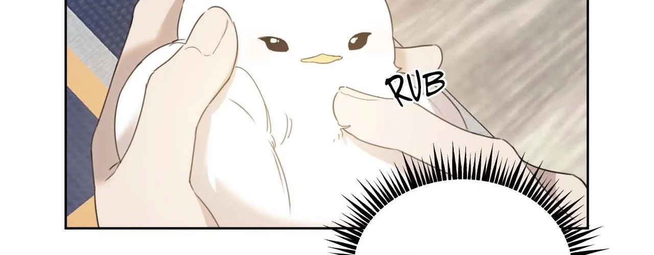 Read Not a Peep! chapter 5 image 17 on Lezhin