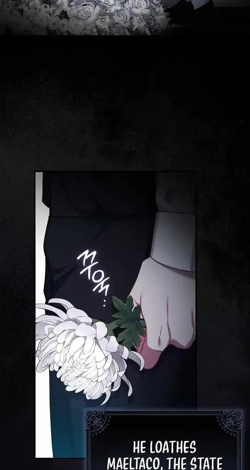 Not A Saint, But A Celestial Maiden Chapter 1.2 page 41 - 