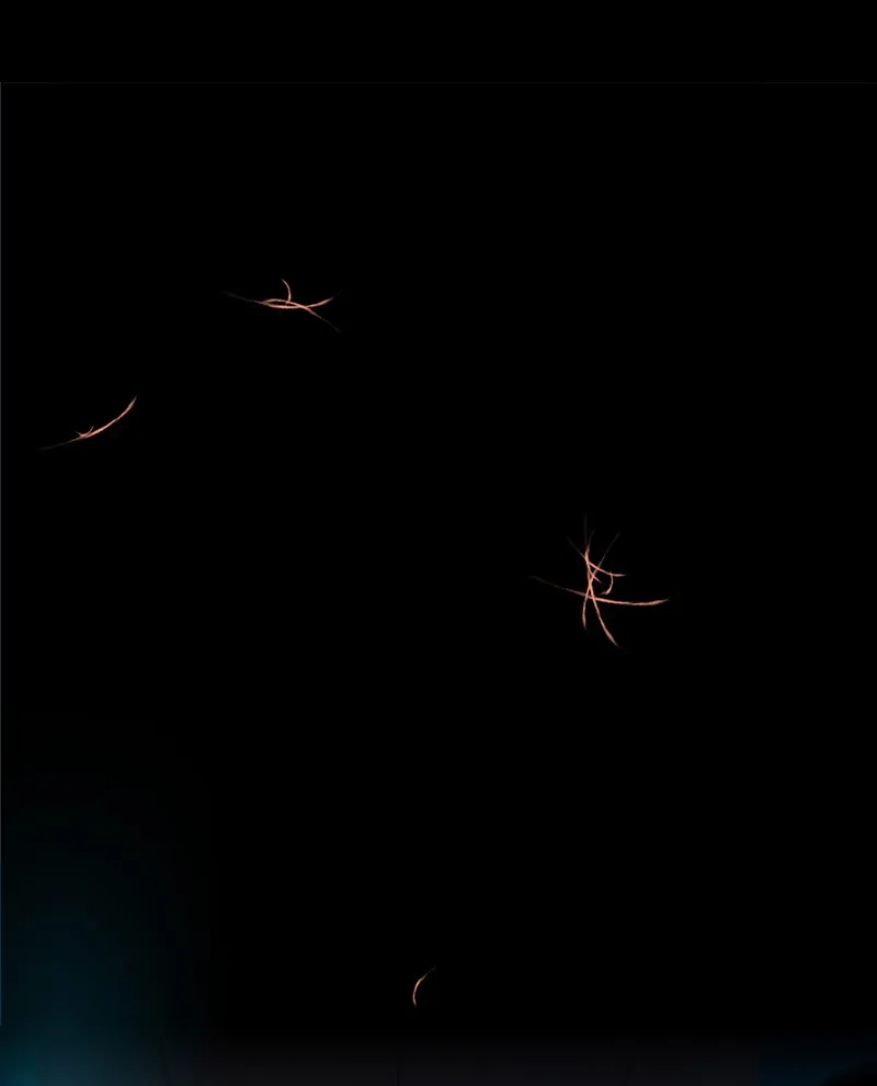 Read Not Even Bones chapter 3 image 44 on Lezhin
