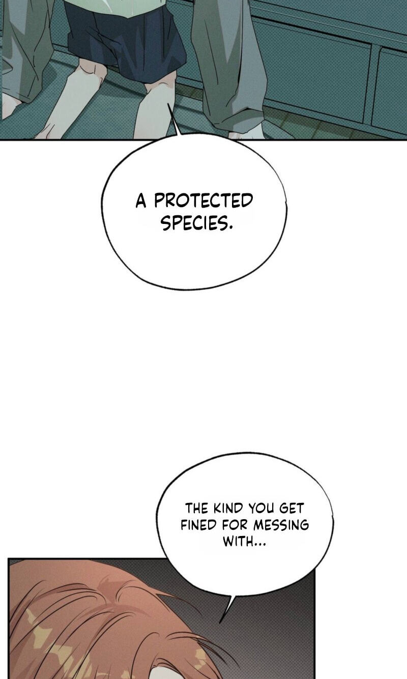 Read Not Meant to Be chapter 12 image 31 on Lezhin