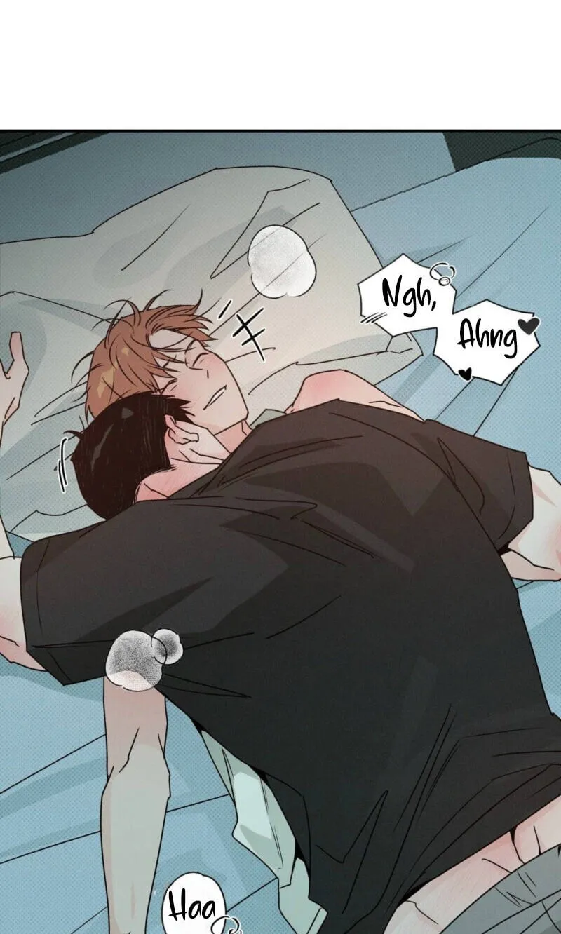 Read Not Meant to Be chapter 13 image 2 on Lezhin