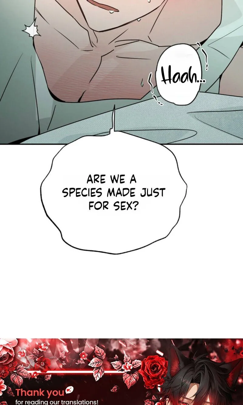 Read Not Meant to Be chapter 13 image 77 on Lezhin