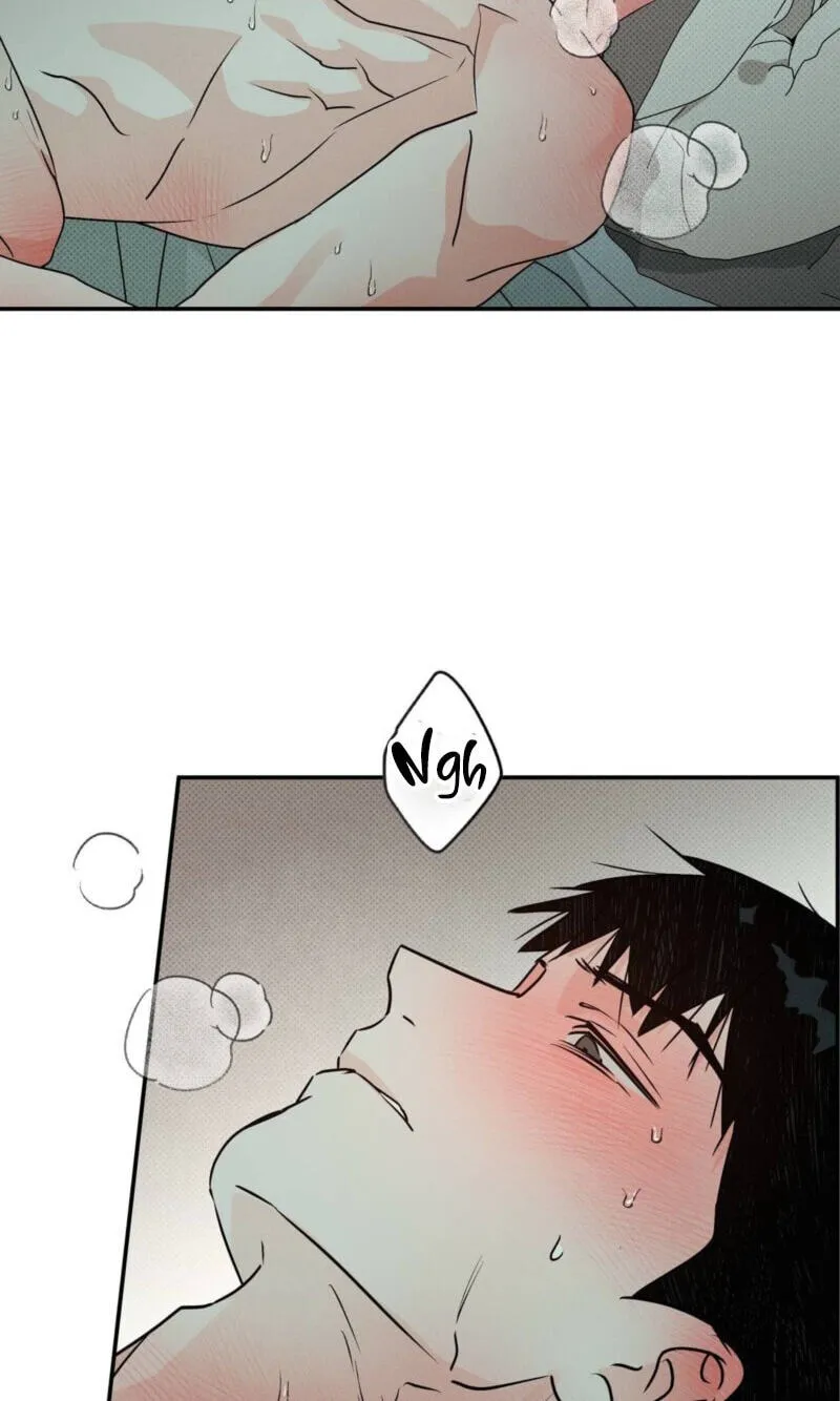 Read Not Meant to Be chapter 14 image 64 on Lezhin