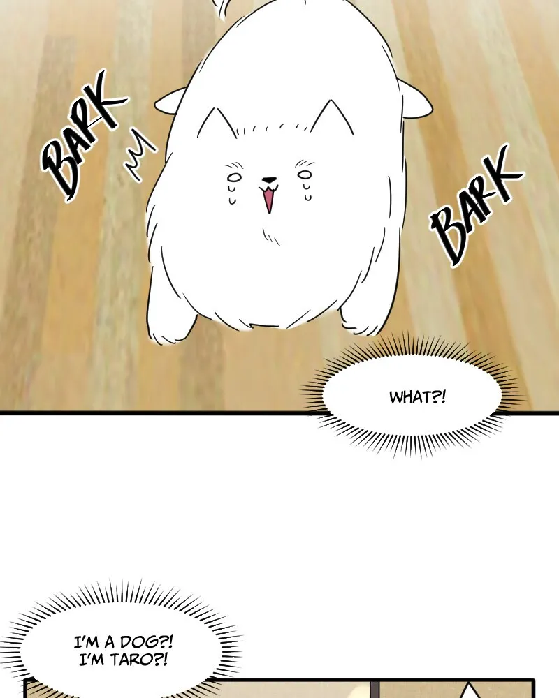 Not So Shoujo Love Story Chapter 15 page 35 - 