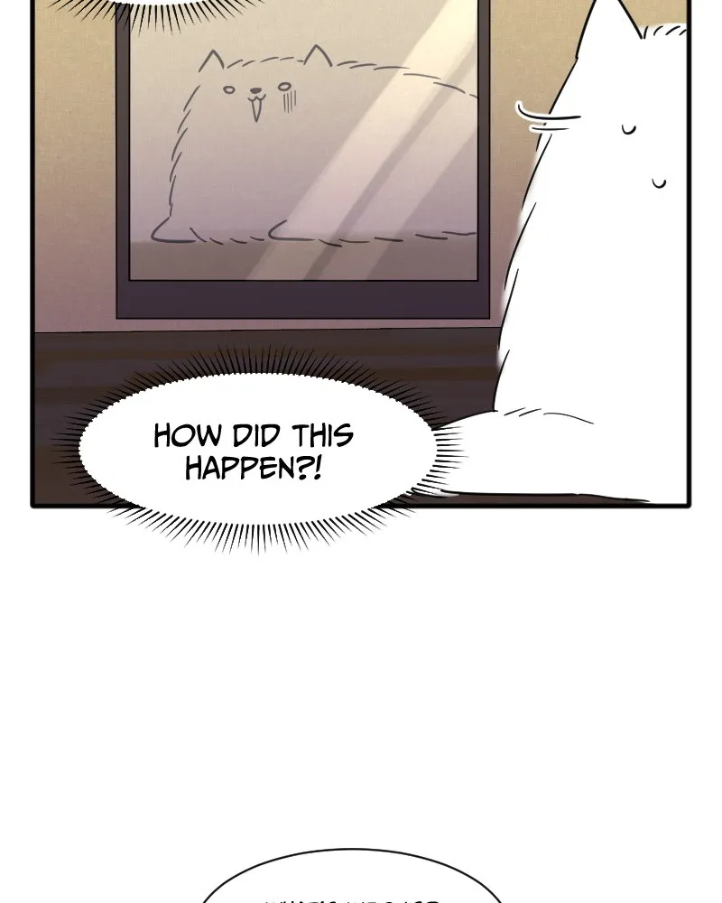 Not So Shoujo Love Story Chapter 15 page 36 - 
