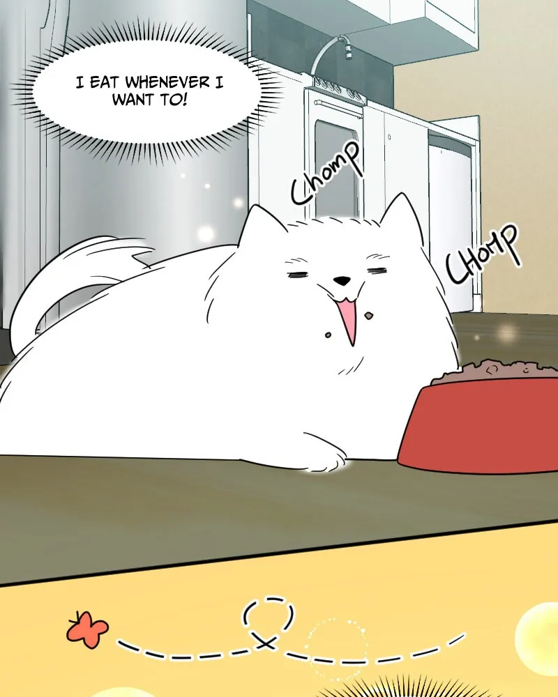 Not So Shoujo Love Story Chapter 15 page 42 - 