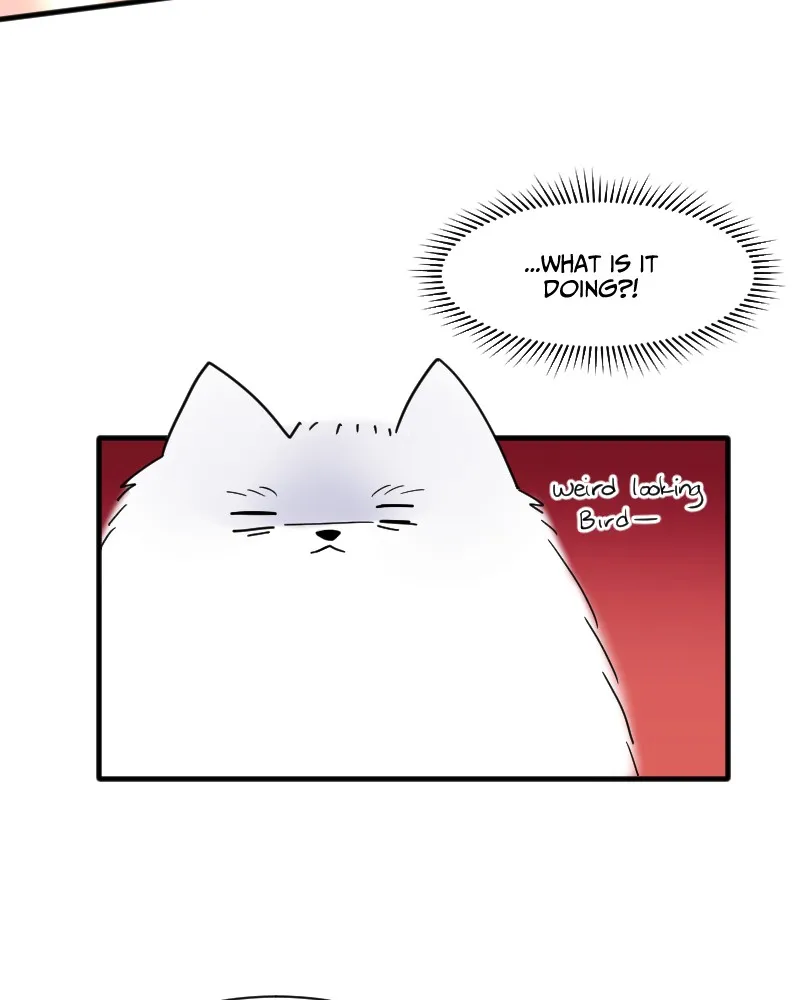 Not So Shoujo Love Story Chapter 15 page 69 - 