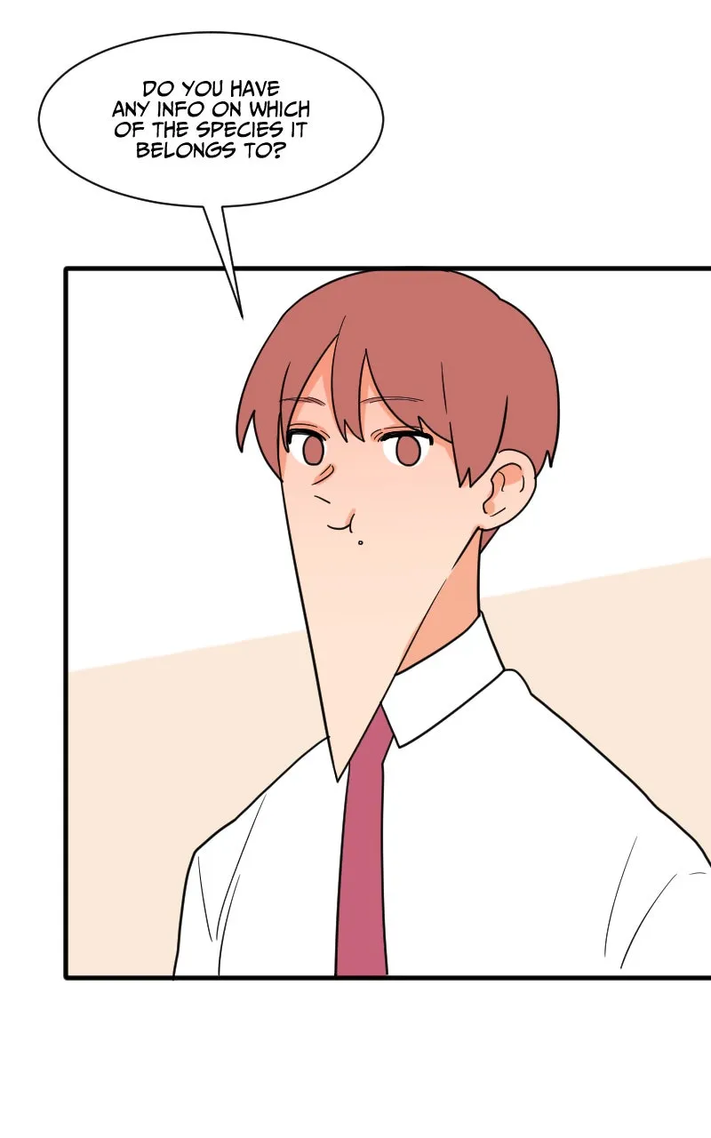 Not So Shoujo Love Story Chapter 30 page 73 - 