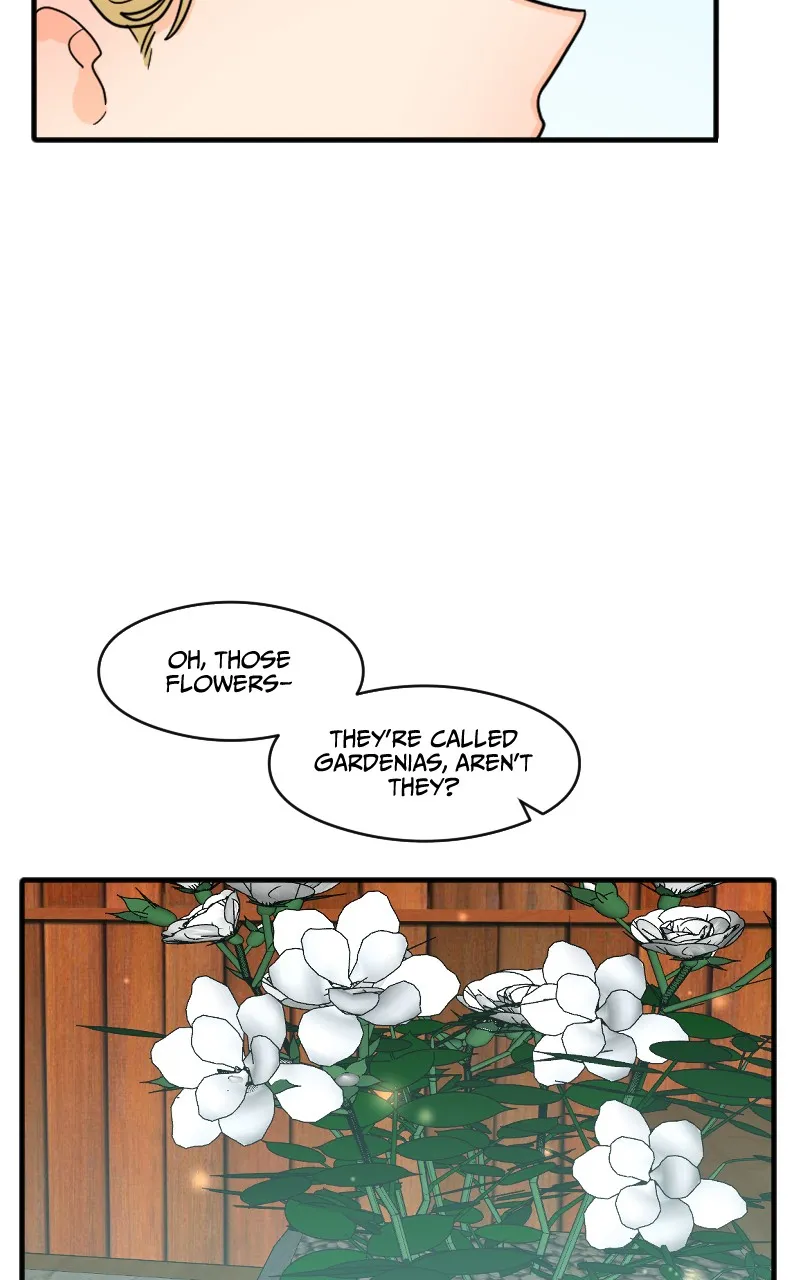 Not So Shoujo Love Story Chapter 33 page 69 - 