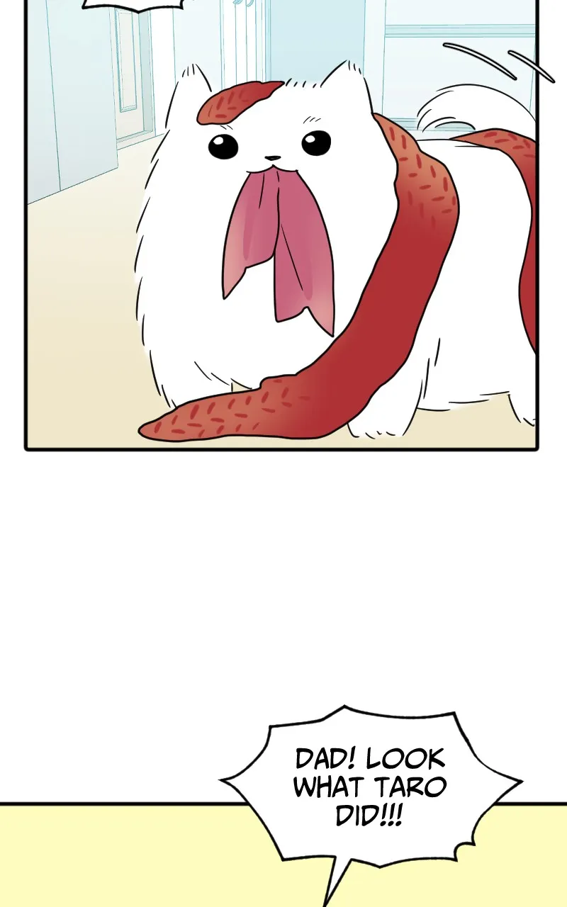 Not So Shoujo Love Story Chapter 41 page 81 - 
