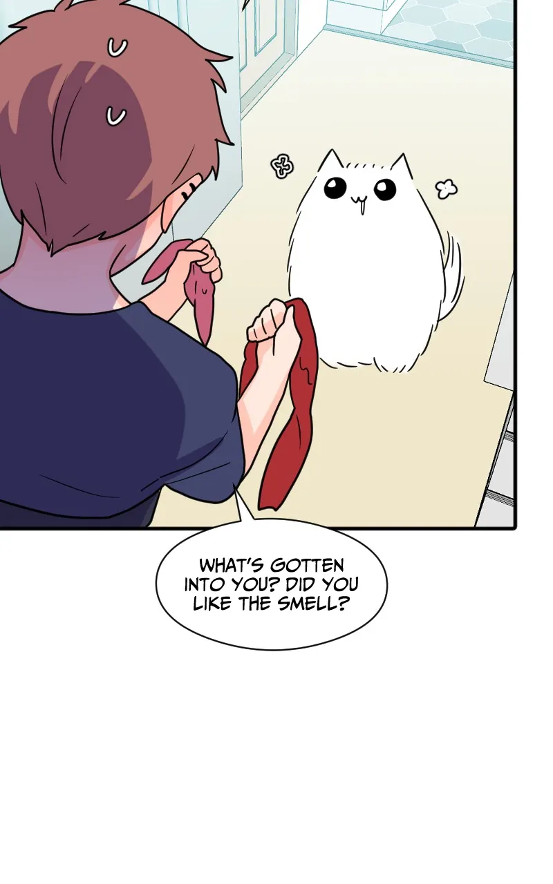Not So Shoujo Love Story Chapter 41 page 83 - 