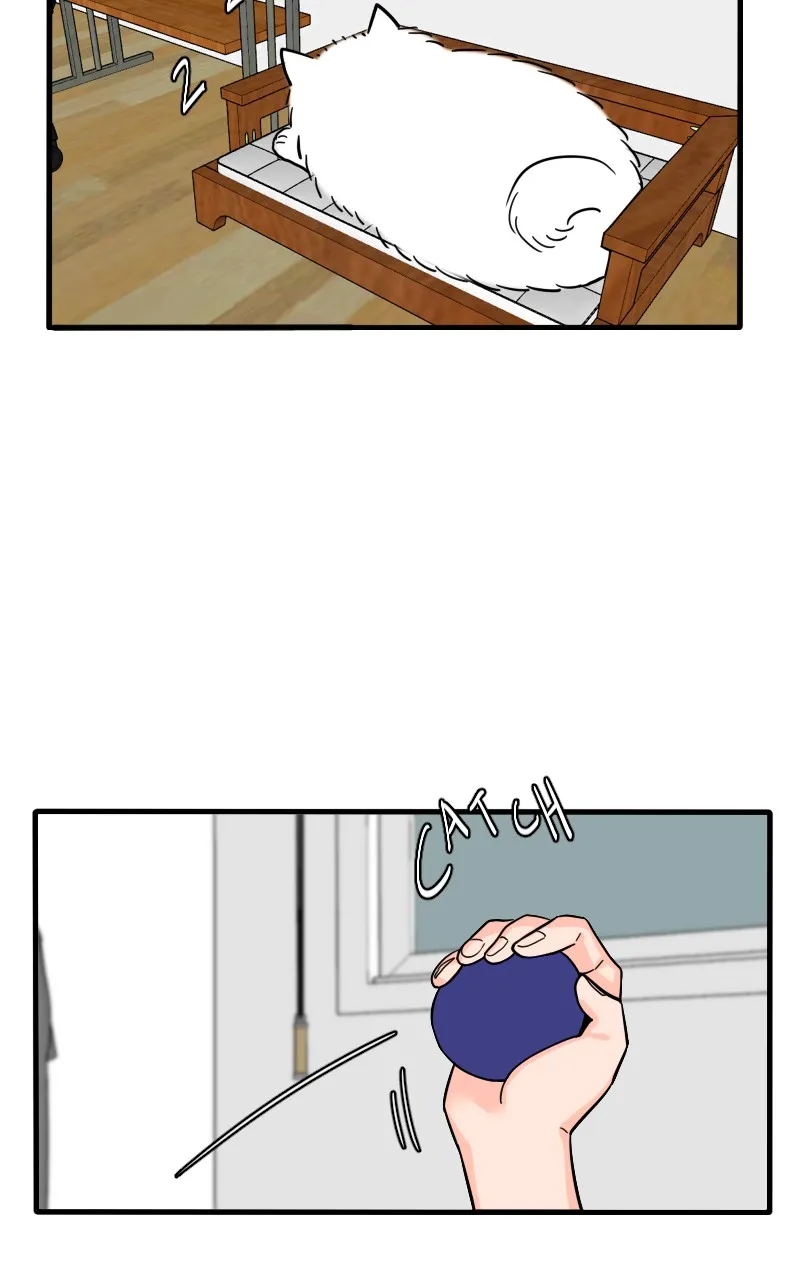 Not So Shoujo Love Story Chapter 47 page 54 - 