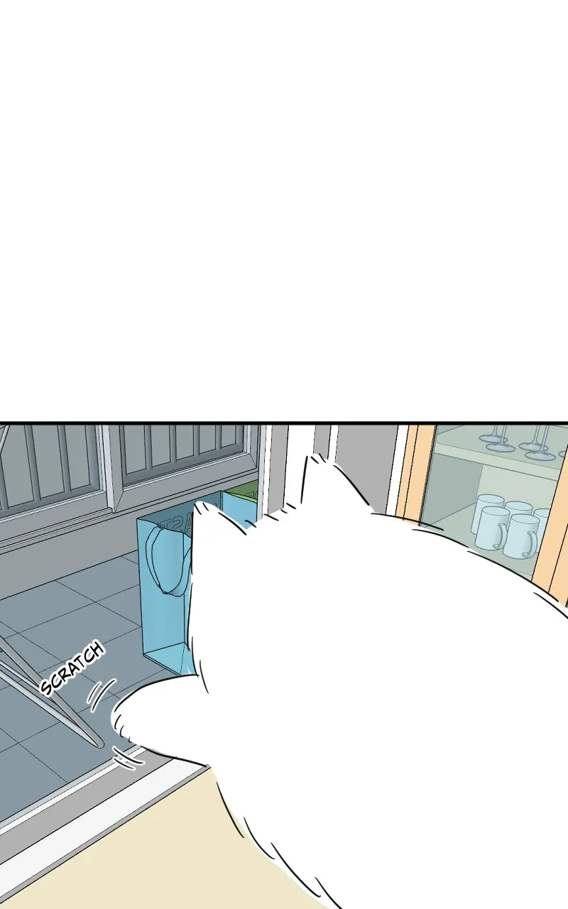 Not So Shoujo Love Story Chapter 54 page 69 - 