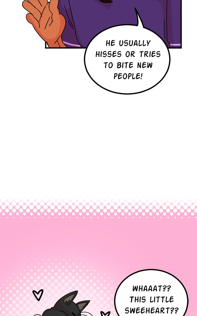 Read Not So Silent chapter 23 image 33 on Lezhin
