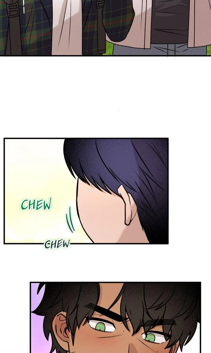 Nothing special in the neighborhood Chapter 42 page 43 - 