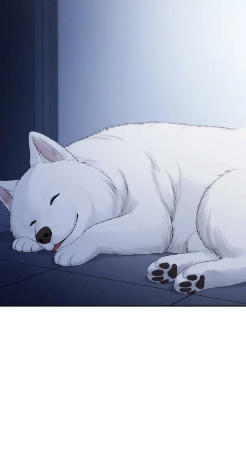 Read nothing chapter 136 image 13 on Lezhin