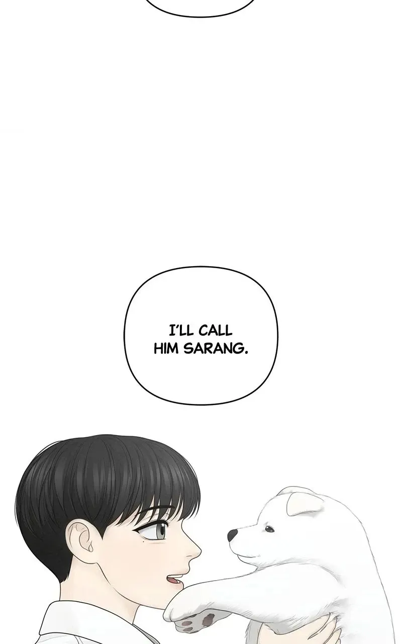 Read nothing chapter 55 image 59 on Lezhin