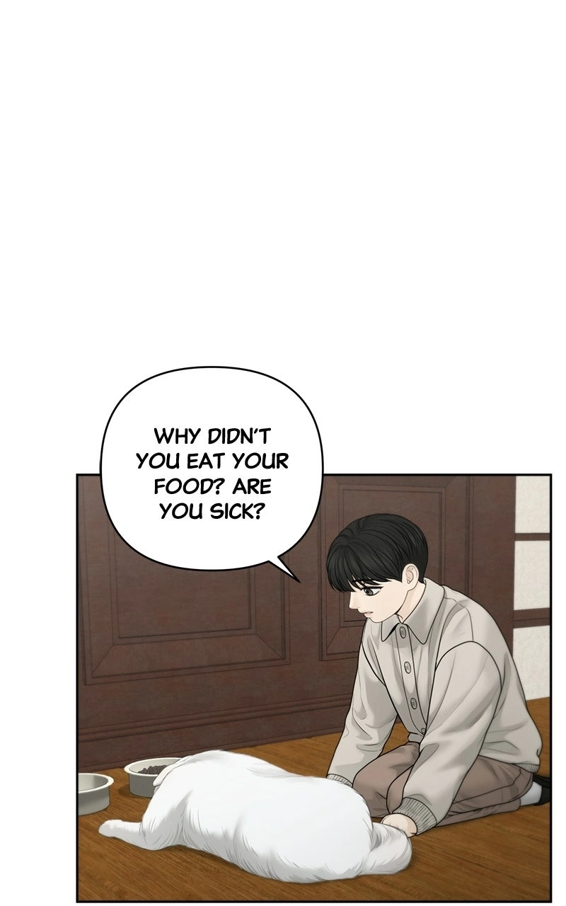 Read nothing chapter 56 image 26 on Lezhin